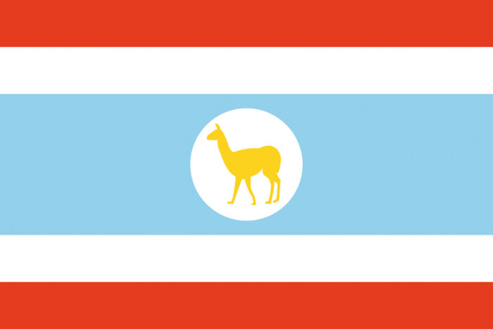Vlag van Managuay